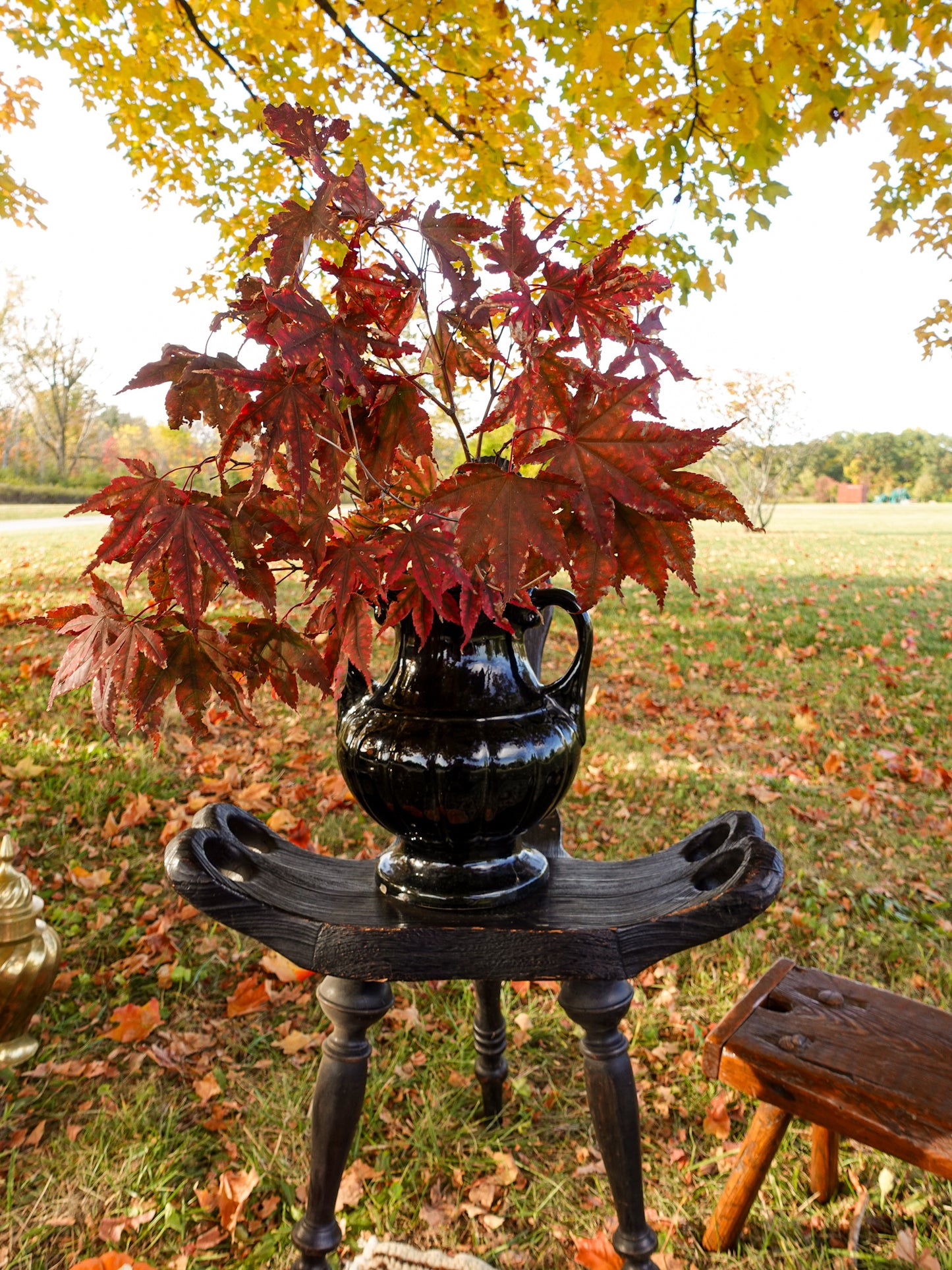 Large Black Handled Vase