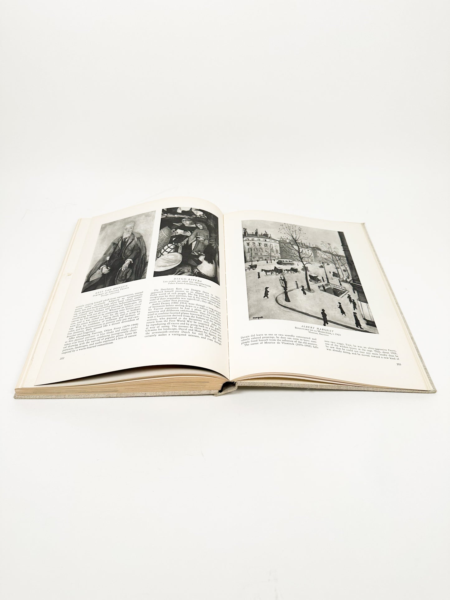 Vintage Pageant of Painting Book