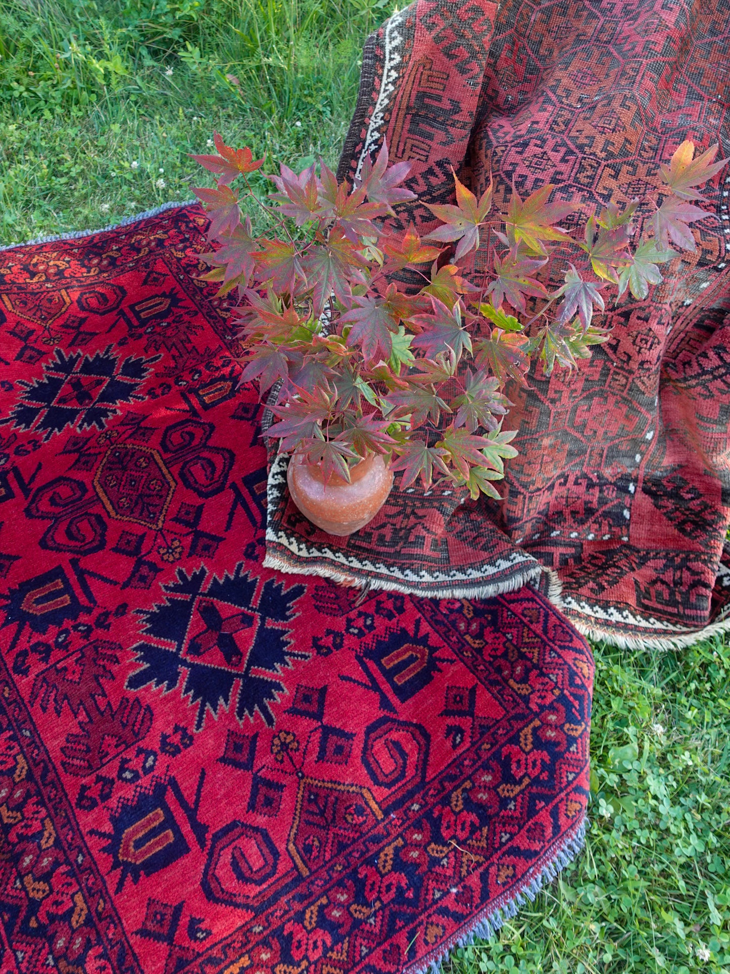 Vintage Red Rug - 4' x 2.5'