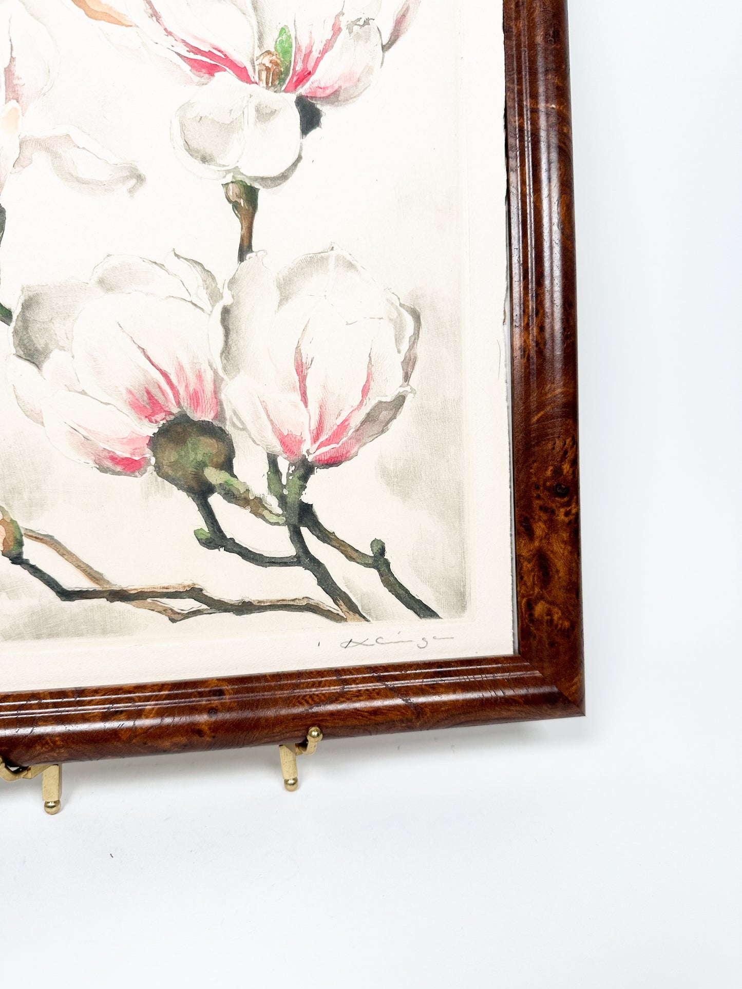 Signed Magnolia Etching