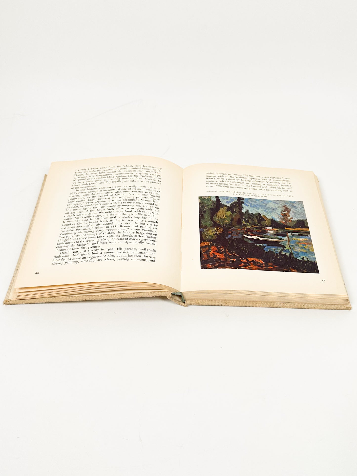 Vintage Small Skira Fauvism Book
