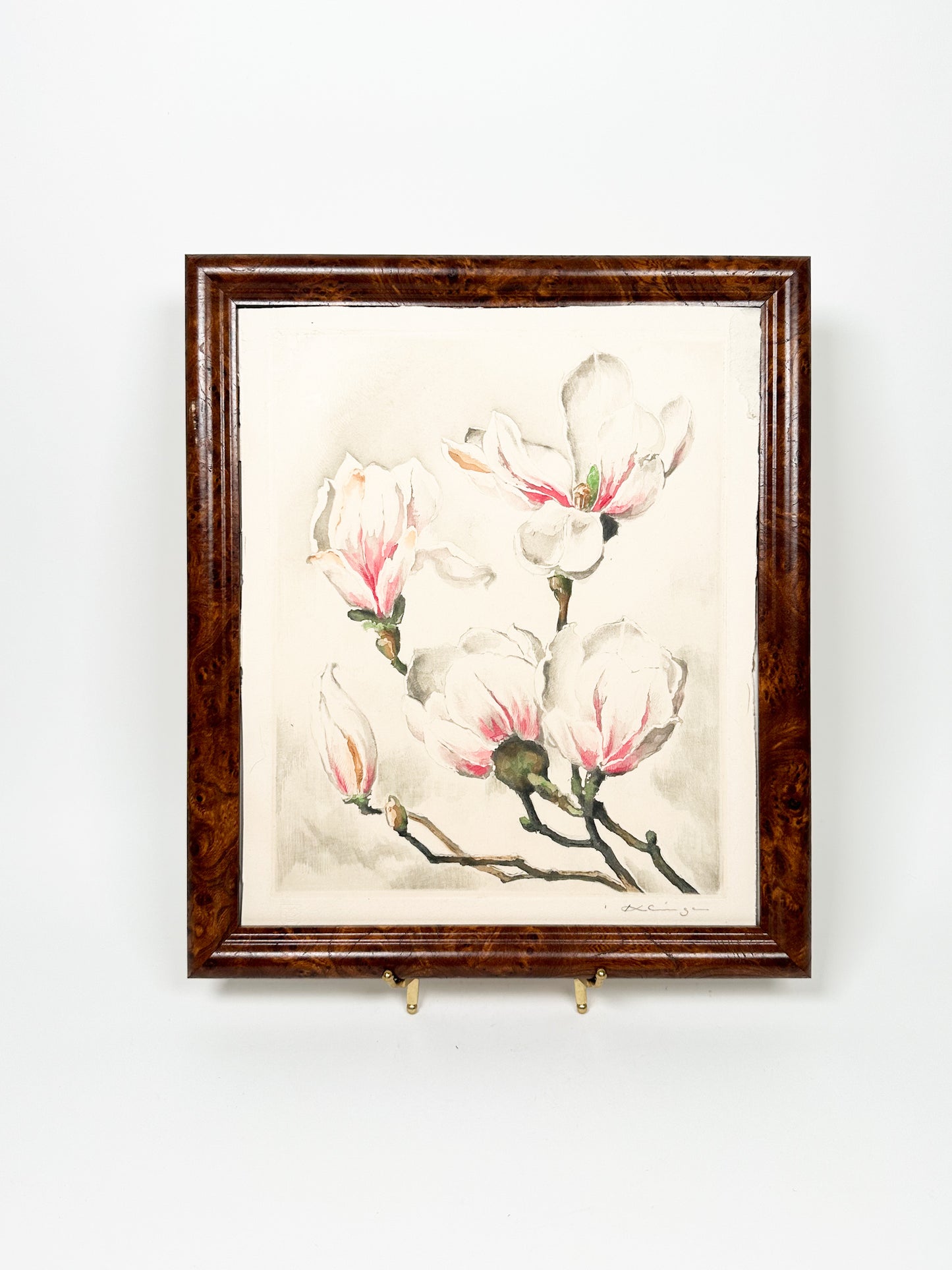 Signed Magnolia Etching