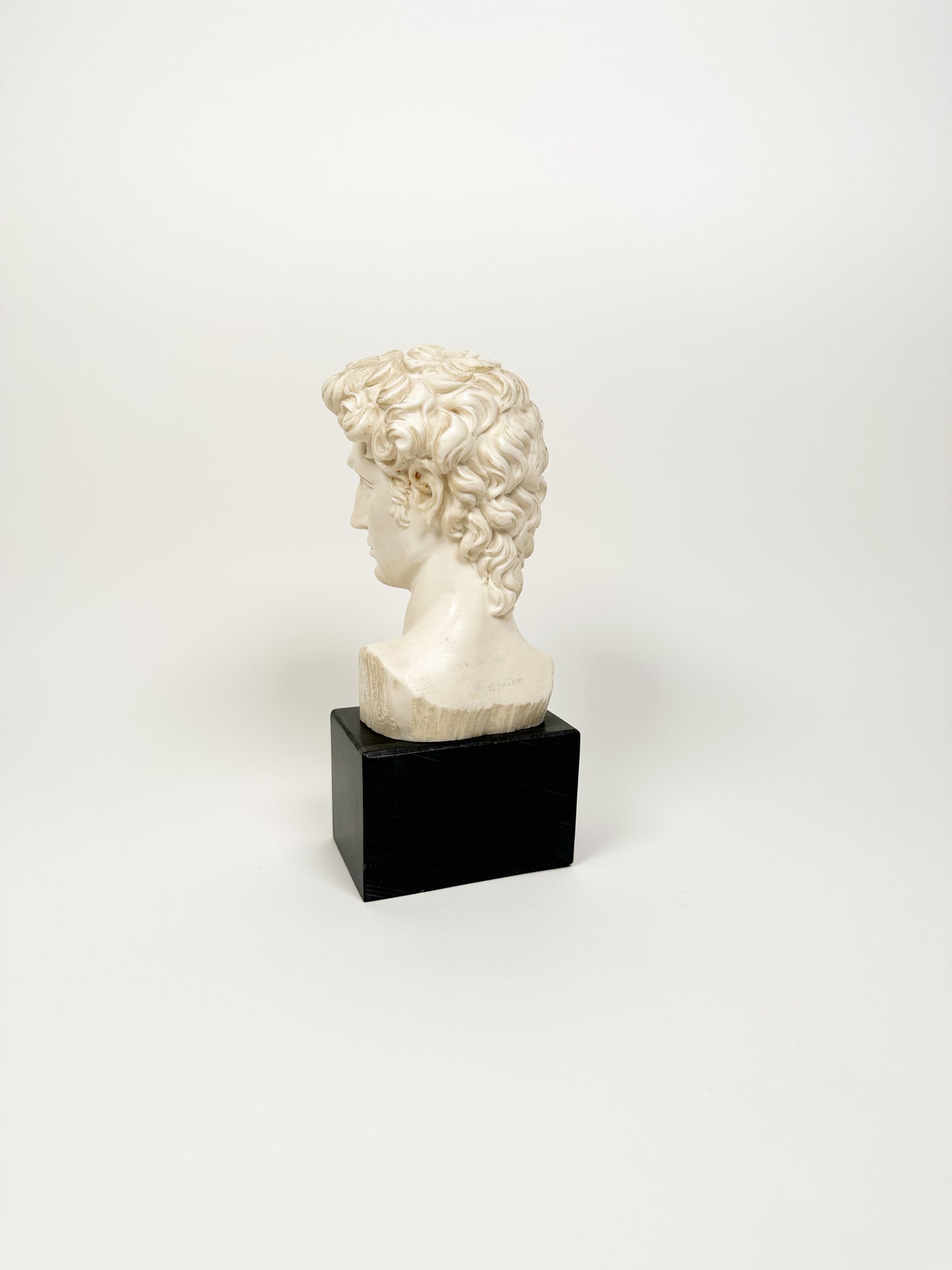 Vintage David Bust
