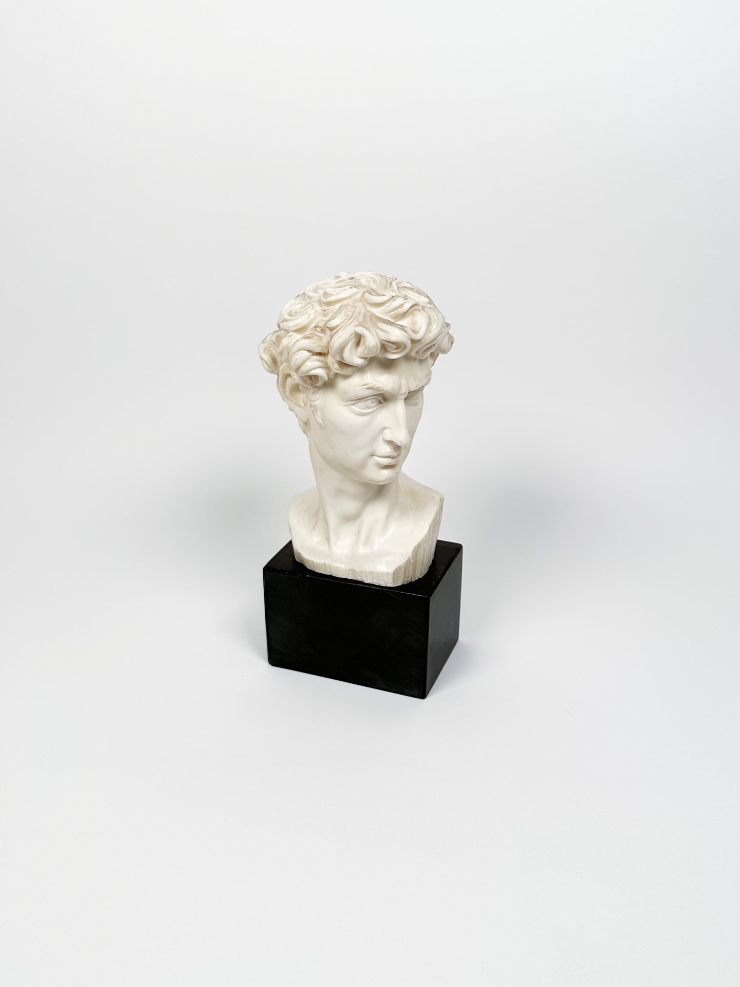 Vintage David Bust