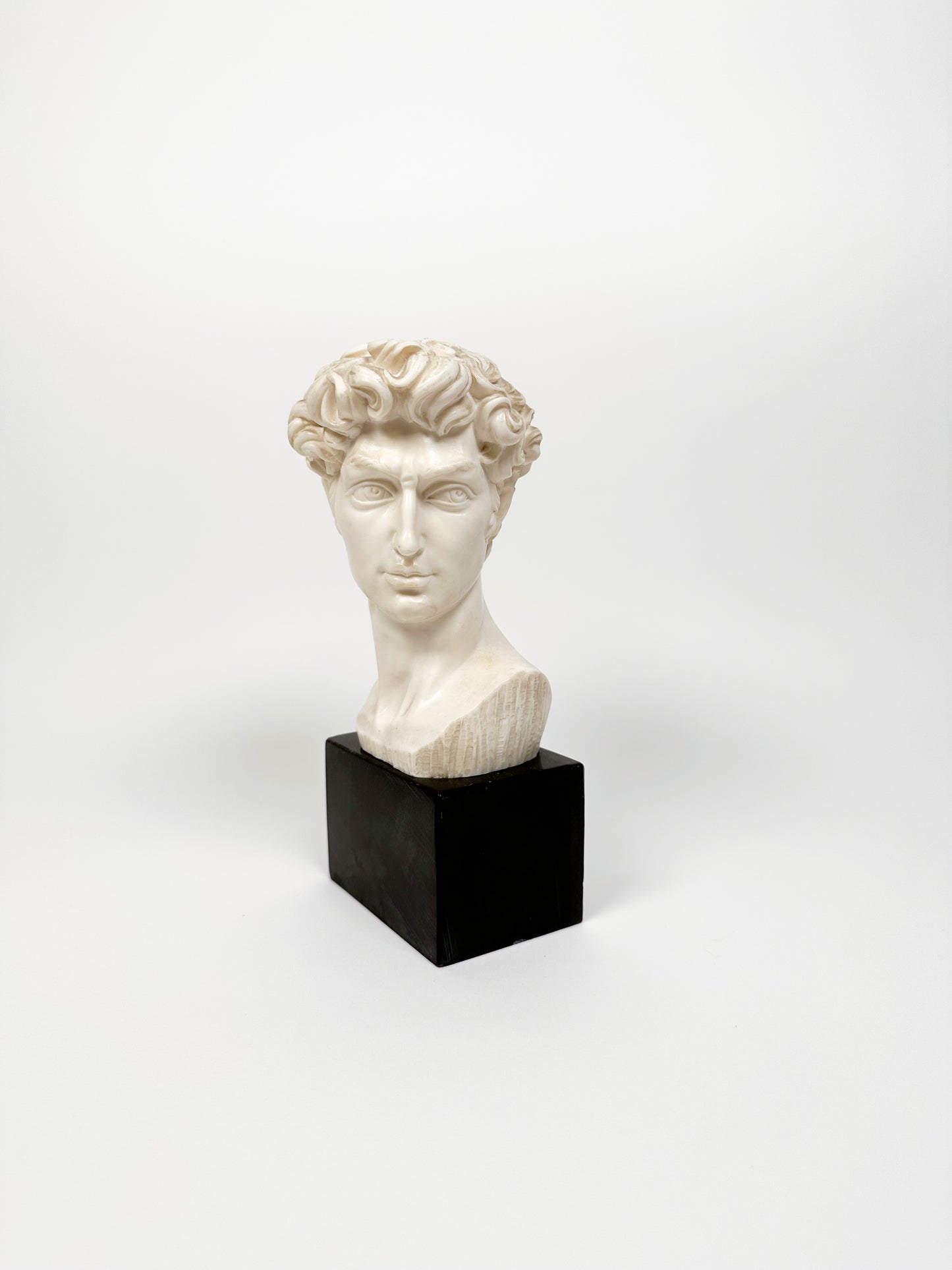 Vintage David Bust