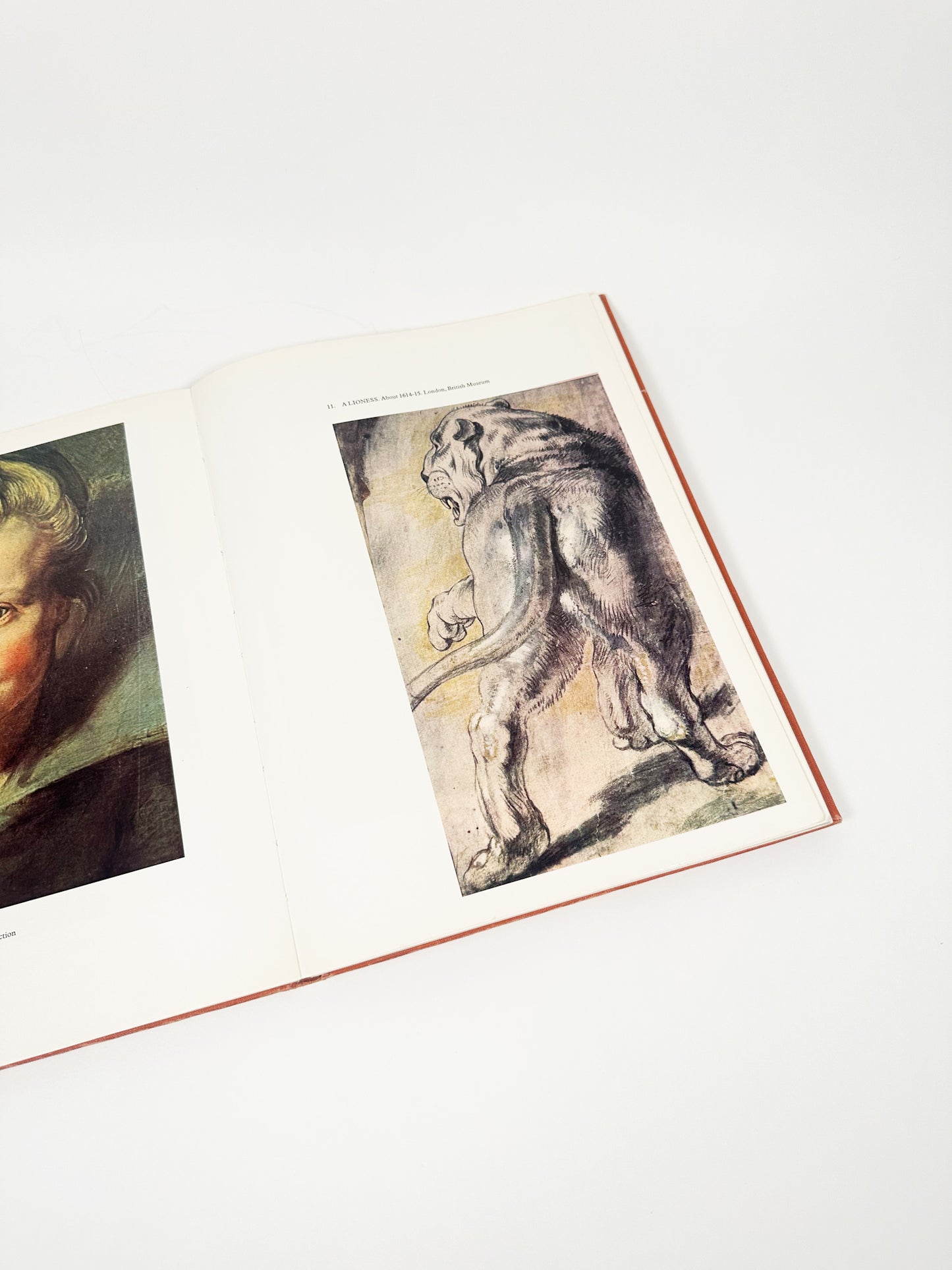 Vintage Rubens Book