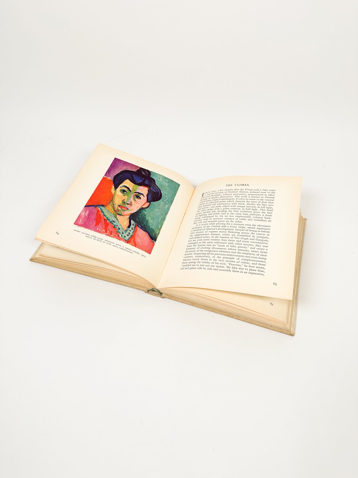 Vintage Small Skira Fauvism Book