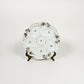 Antique Mark & Gutherz Carlsbad Austria Oyster Plate