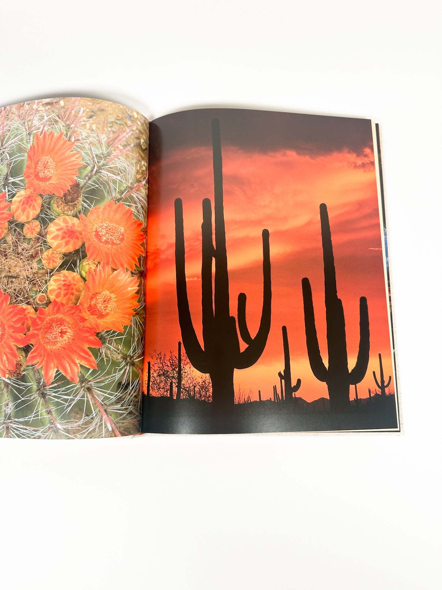 Vintage Arizona Landmarks Book