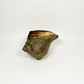 Vintage Large Brass Conch Shell