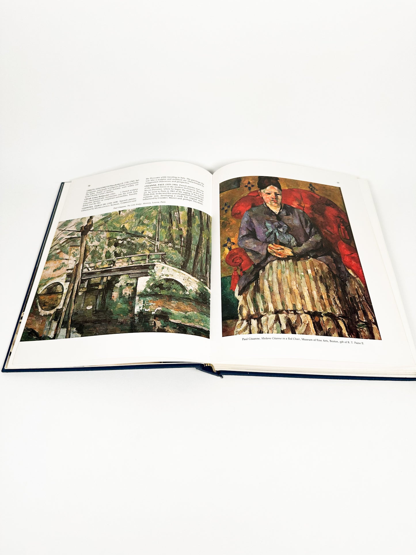 The Color Encyclopedia of World Art Book