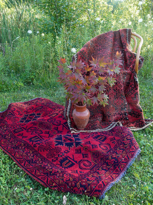 Vintage Red Rug - 4' x 2.5'