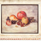 Vintage Still Life Oil Painting